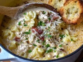 Creamy Italian ground chicken soup in a white bowl, white beans, wilted spinach, ground chicken, glossy parmesan-cream broth, crusty bread on the side, warm morning light